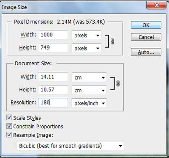 Document Settings 