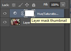 Selecting the Layer mask thumbnail