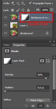 Adjusting the Layer Mask Panel