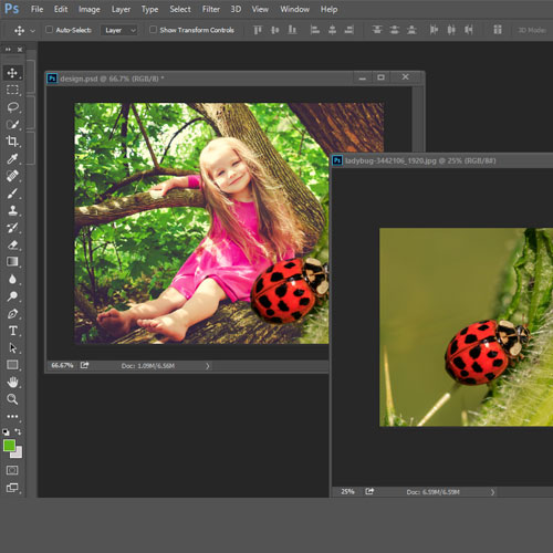 Two image are selected one photo containing a little girl and another a ladybug