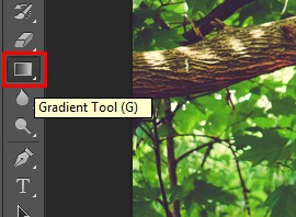 The Gradient Tool has been selected