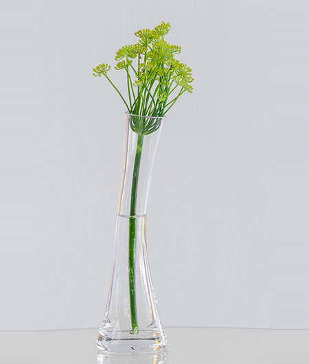 clear flower vase