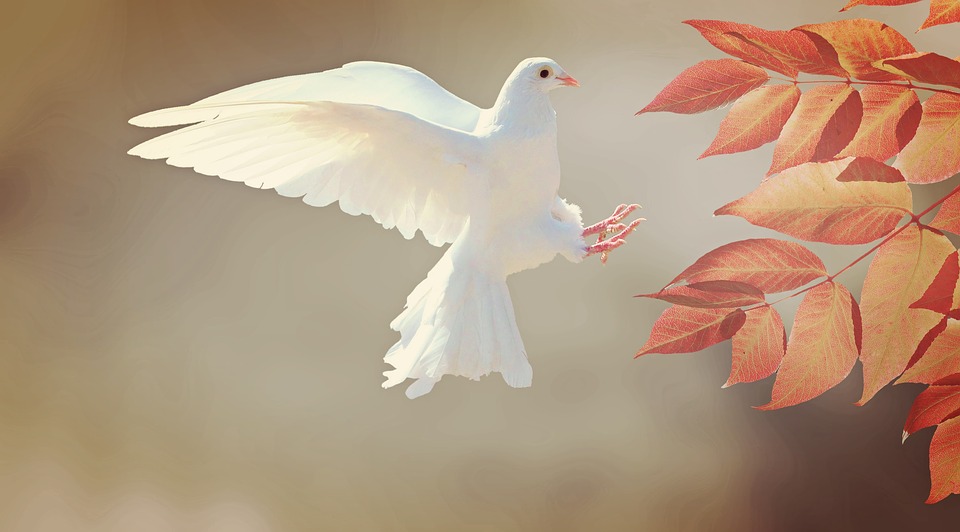 A white pigeon is flapping wings near some leaves