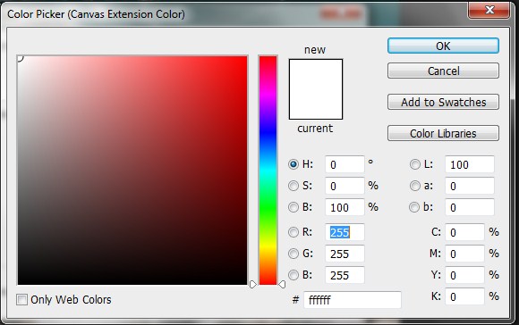 Color Picker appears in Photoshop