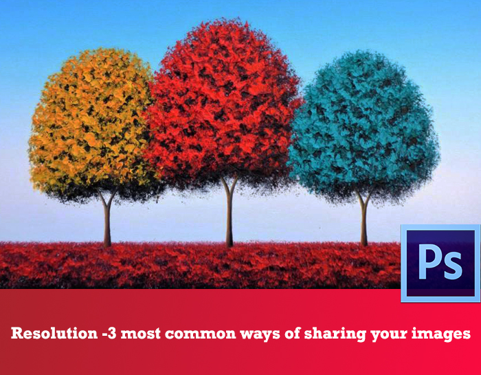 Showing 3 different color 7 sized trees