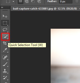 Selecting Quick selection Tool in Photoshop